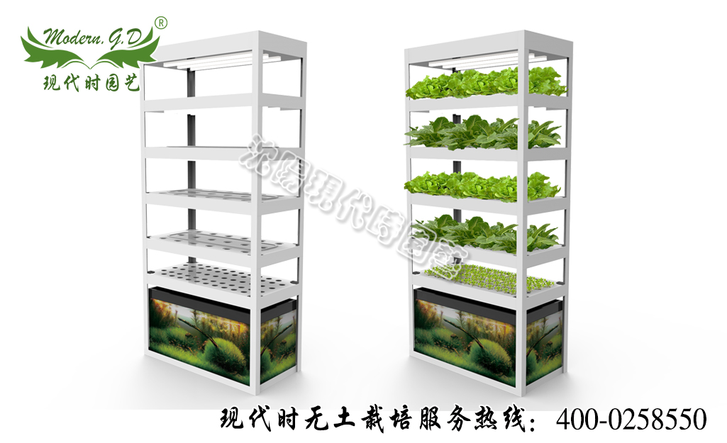 ߲˷NֲC(j)~˹ ̖(ho)N-31